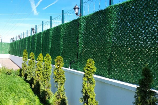 xZIPzHflFvhSutjet2GbmsmxRENkCOo1M0qzPqH9b-O358SjW93mS7M0zMruyW_8wb6YZUSRbqjnvN-iZ85DaFdMeySVnIYAQQkRPal5ARcE9fEftt36M1y8npEcxjBwbmfdy8KHkIATD9VBCWN2alCBiWclYMd6QBKmyeiV2e992Ltr1t8B-xqu7M00_xDb